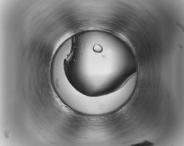 X0000102301138200808152011