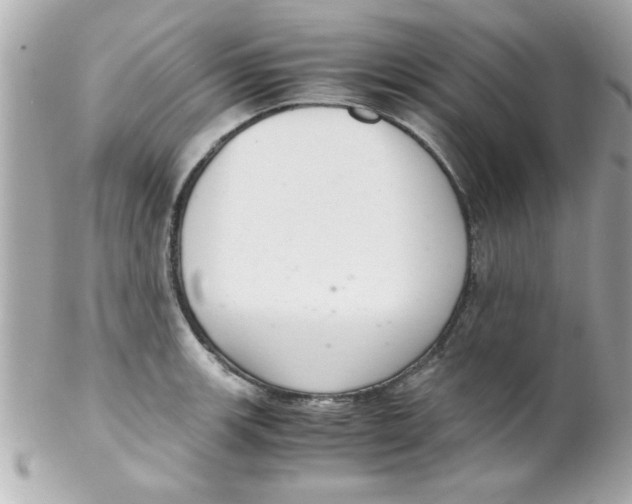 X0000102301139200808152011