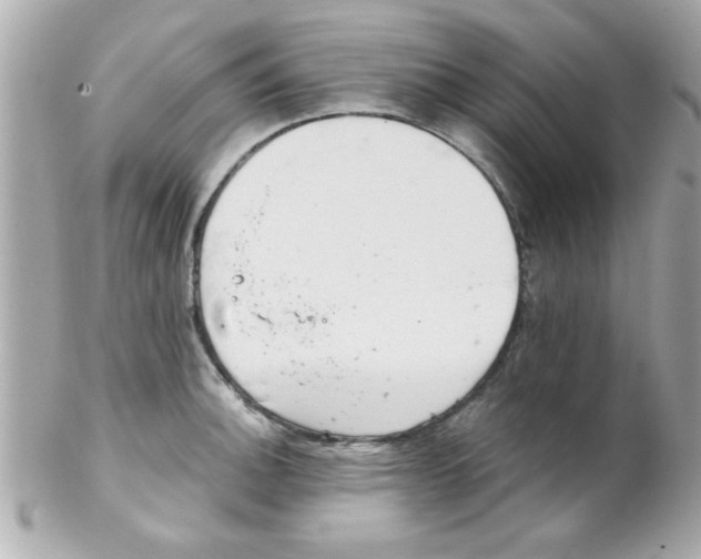 X0000102301140200808152011