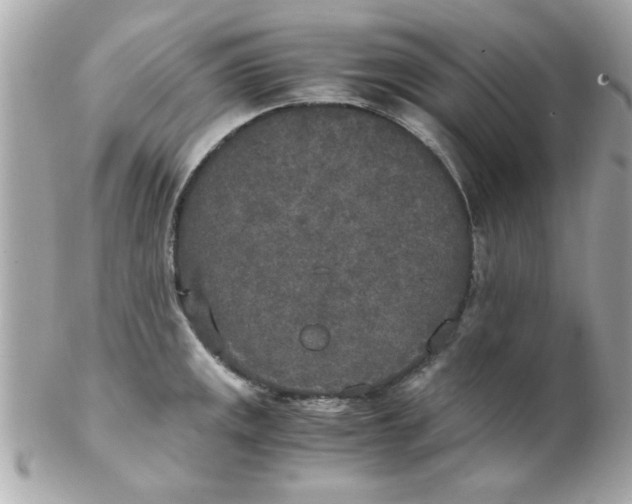X0000102301141200808152011