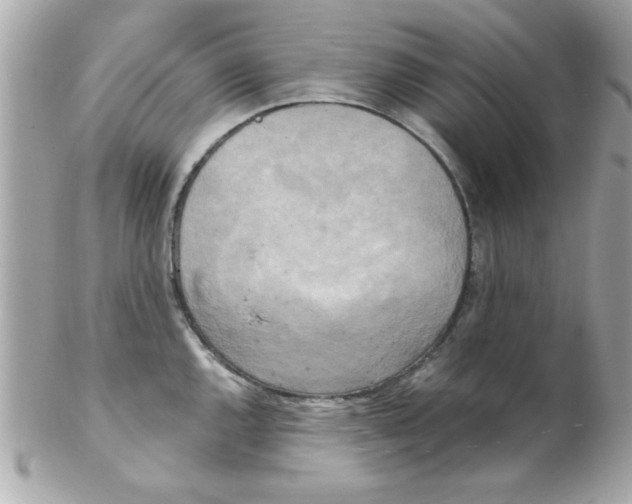 X0000102301144200808152011