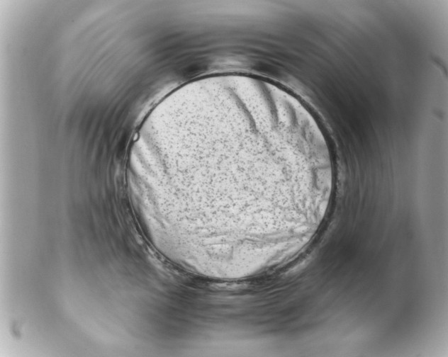 X0000102301145200808152011