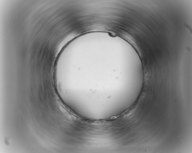 X0000102301146200808152011