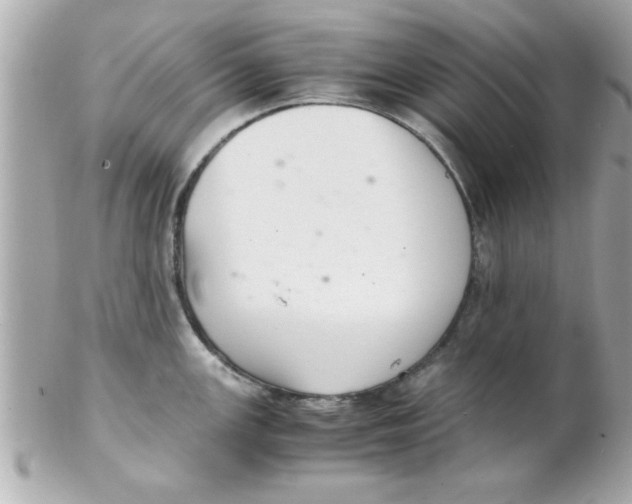X0000102301147200808152011