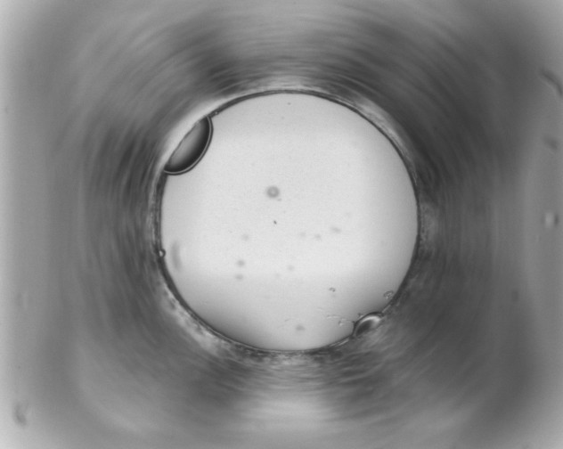 X0000102301148200808152011