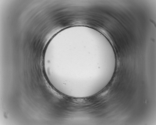 X0000102301149200808152011