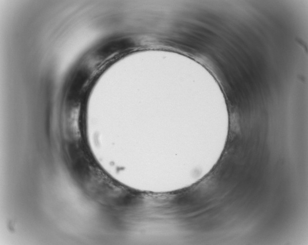 X0000102301150200808152011