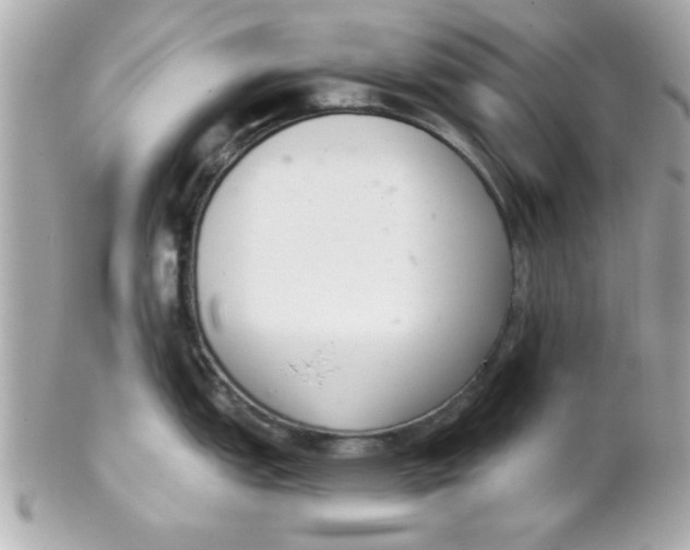 X0000102301151200808152011