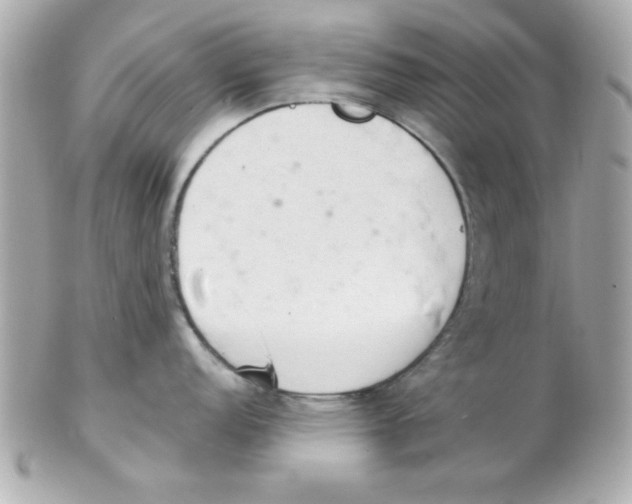 X0000102301152200808152012