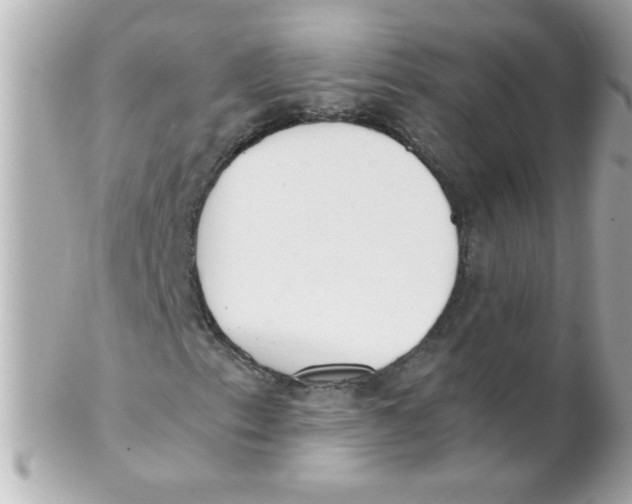 X0000102301153200808152011