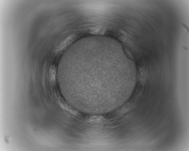 X0000102301154200808152011