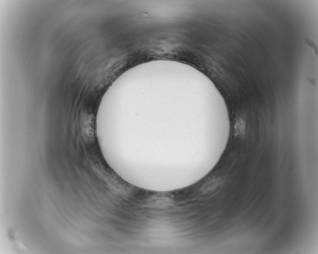 X0000102301156200808152011