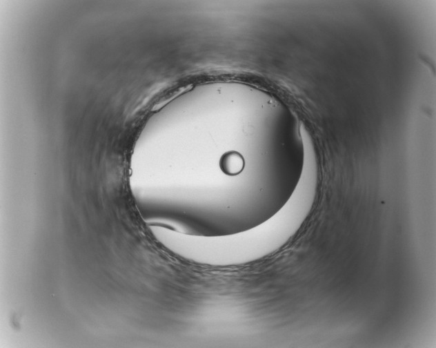 X0000102301157200808152011