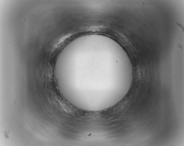 X0000102301158200808152011