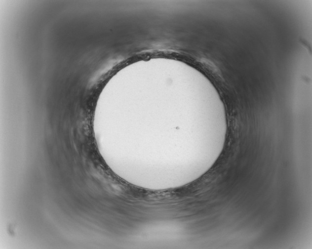 X0000102301159200808152011