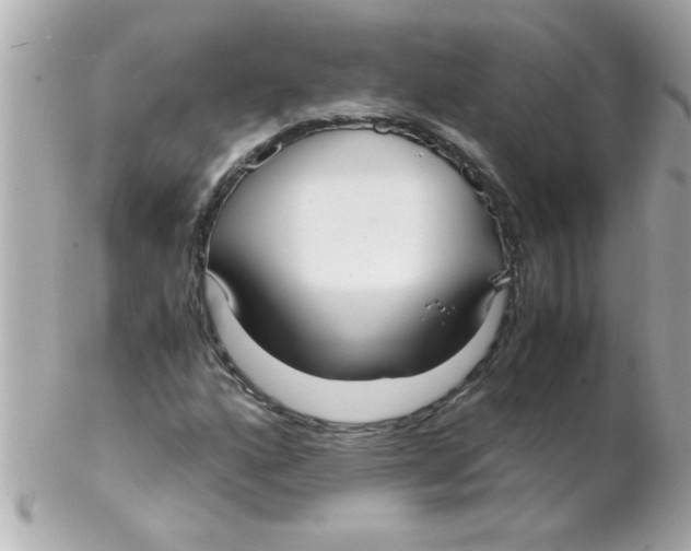 X0000102301160200808152011