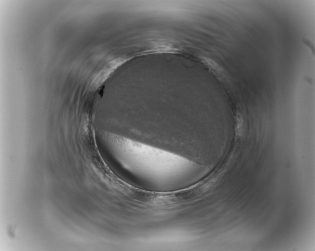 X0000102301161200808152011