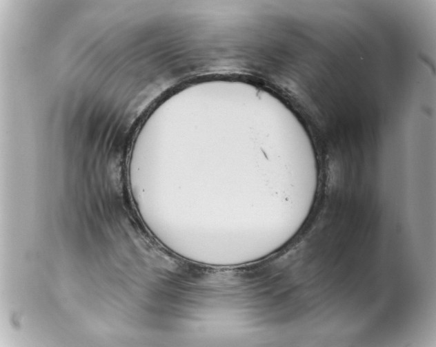 X0000102301162200808152011