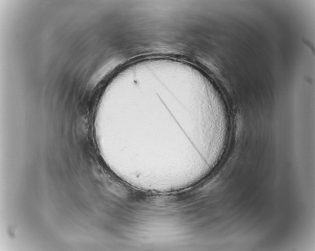 X0000102301163200808152011