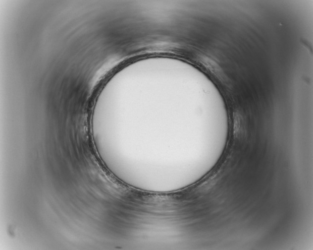 X0000102301164200808152011