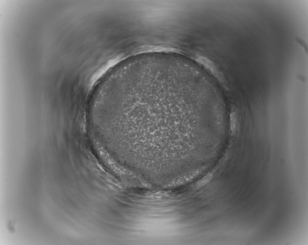 X0000102301165200808152011
