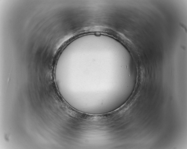 X0000102301166200808152011