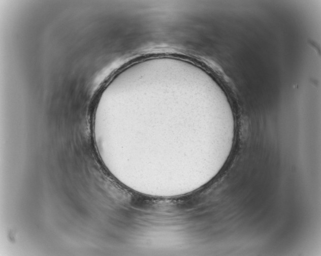 X0000102301167200808152011