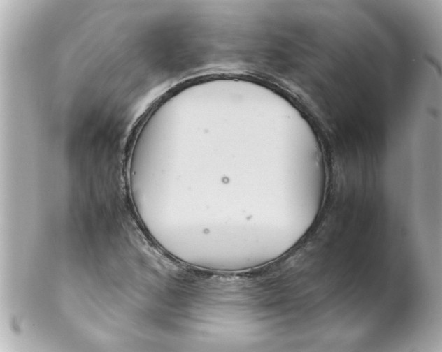 X0000102301168200808152011