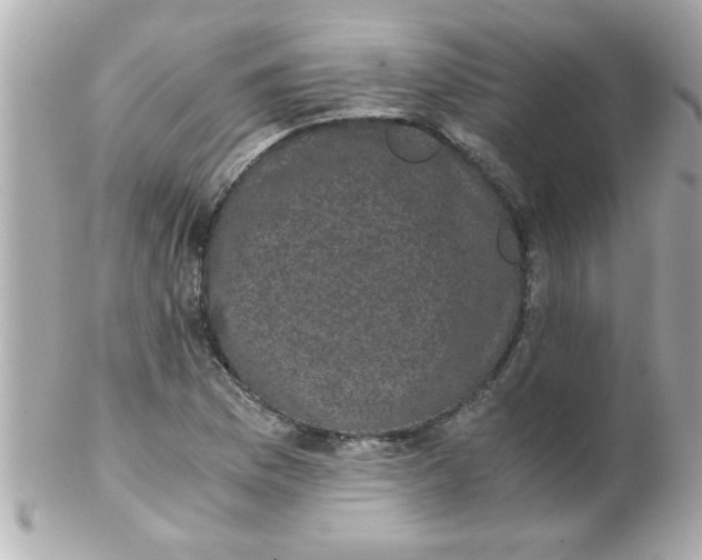 X0000102301169200808152011