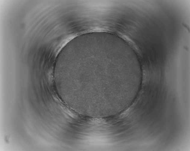 X0000102301170200808152011