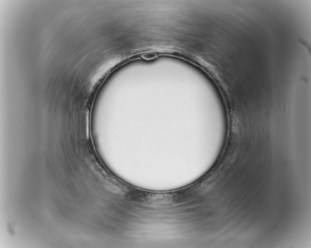 X0000102301171200808152011