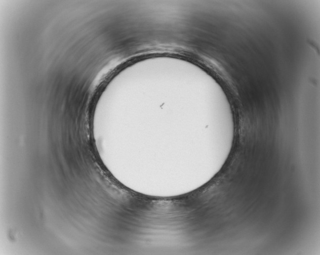 X0000102301172200808152011