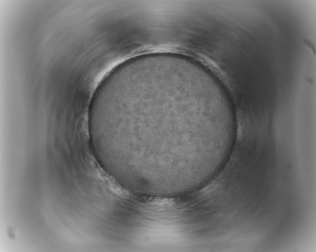 X0000102301174200808152011