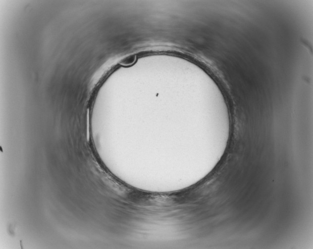 X0000102301175200808152011