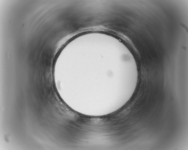 X0000102301176200808152011