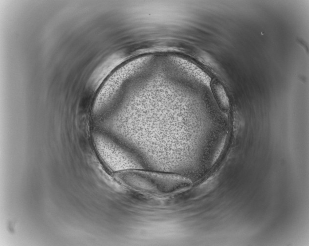 X0000102301177200808152010