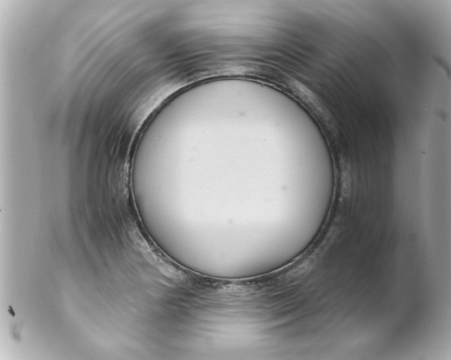 X0000102301178200808152010