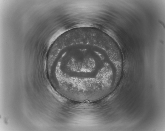 X0000102301179200808152010