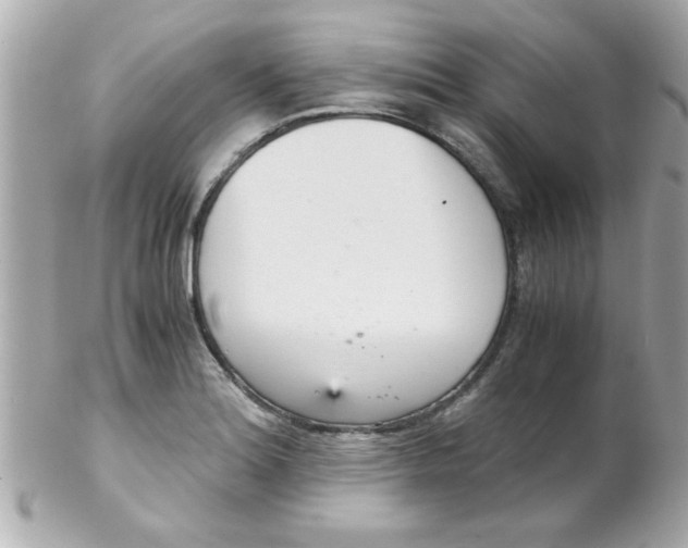 X0000102301180200808152010