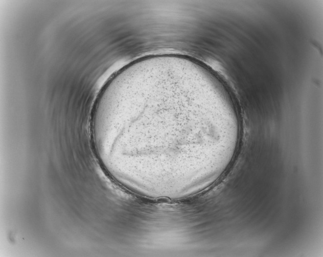 X0000102301181200808152010