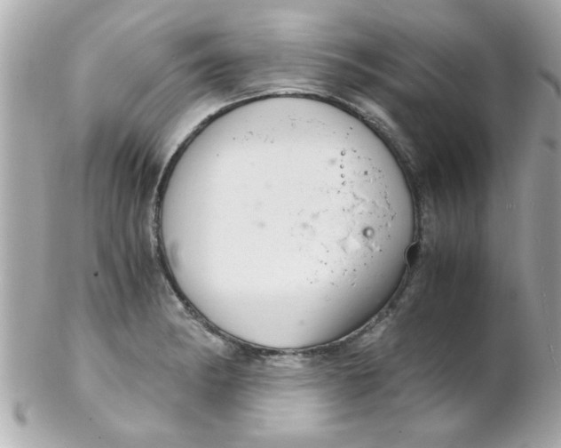 X0000102301182200808152010