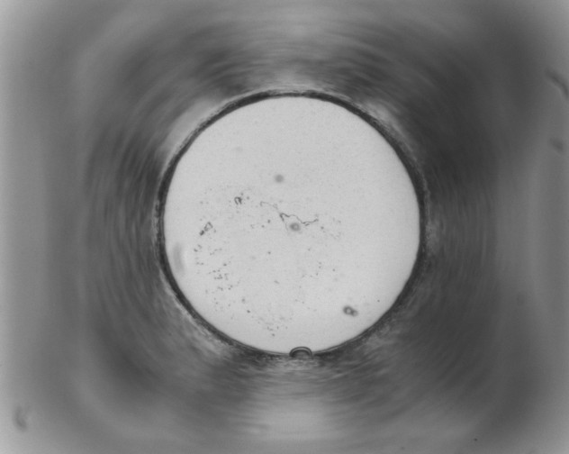 X0000102301183200808152010