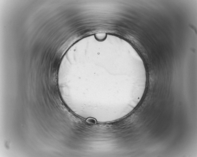 X0000102301185200808152010