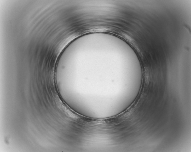 X0000102301186200808152010
