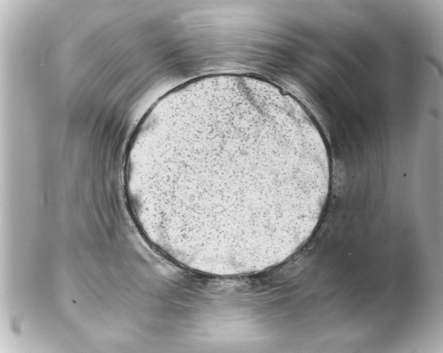 X0000102301187200808152010
