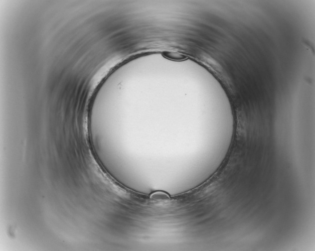 X0000102301188200808152010