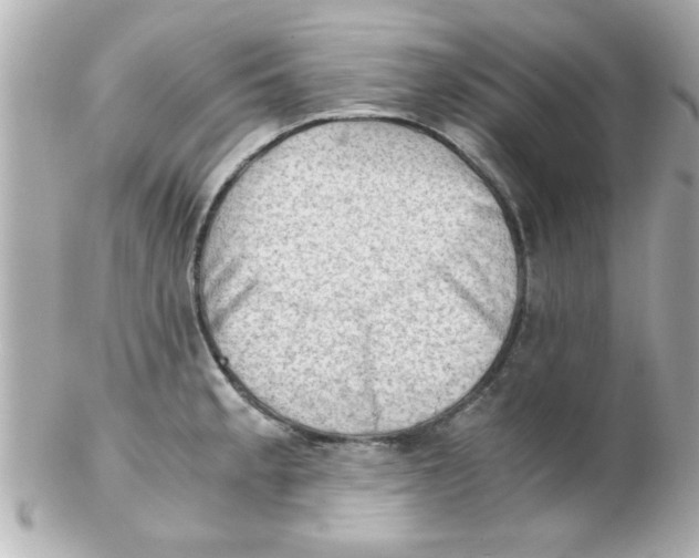 X0000102301189200808152010