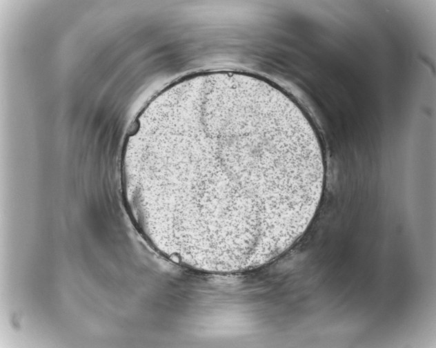 X0000102301191200808152010