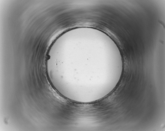 X0000102301192200808152010