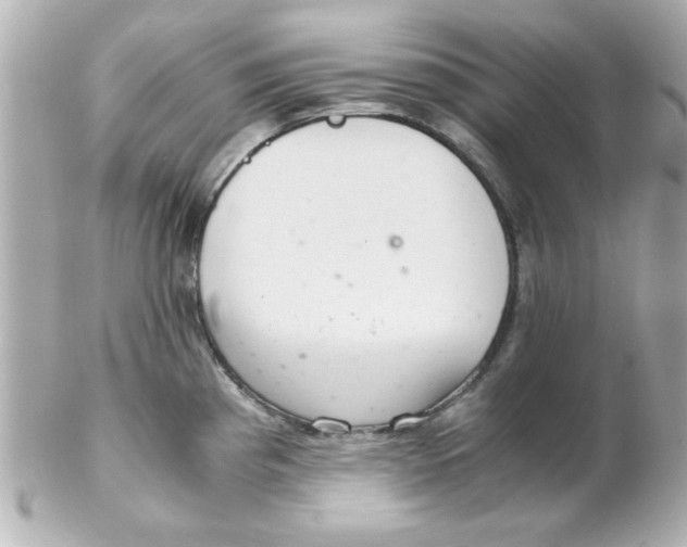 X0000102301193200808152010